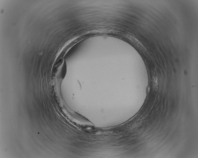 X0000067480484200605051716