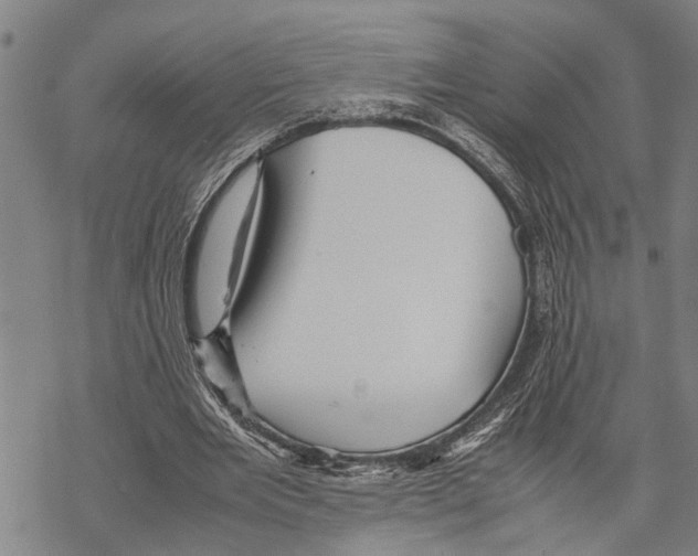 X0000067480485200605051716