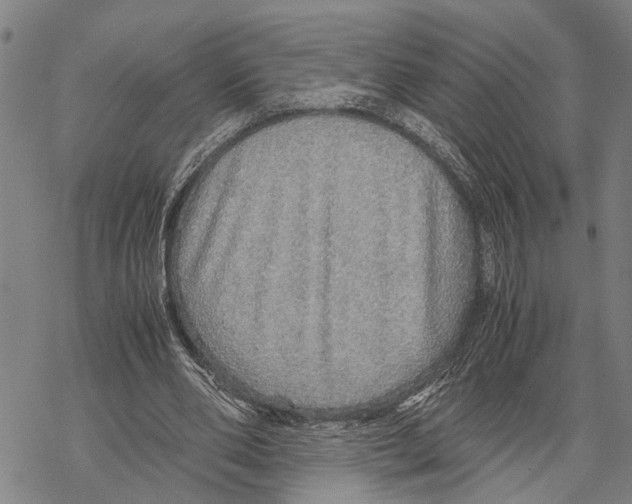 X0000067480486200605051716