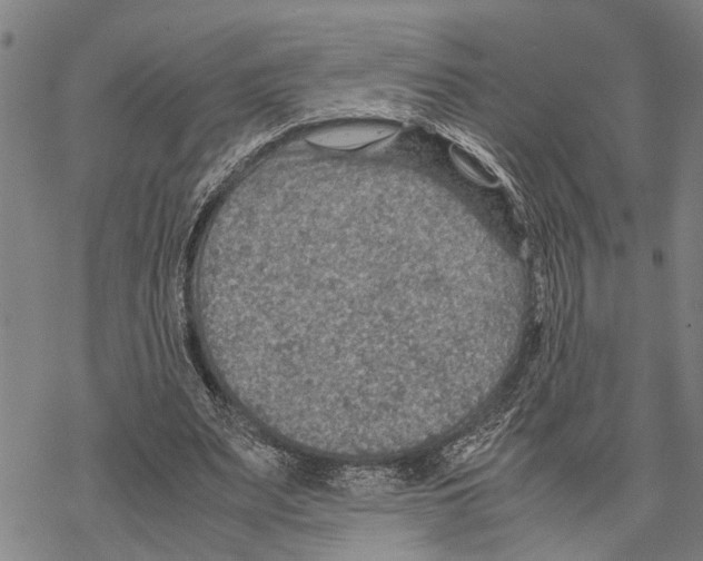 X0000067480487200605051716