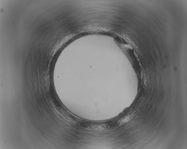 X0000067480488200605051716