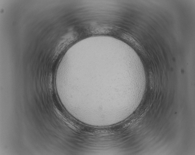 X0000067480490200605051716