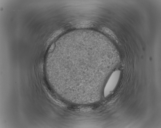 X0000067480491200605051716