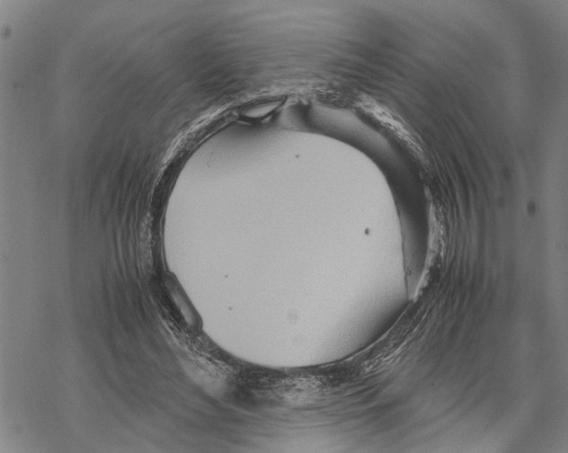 X0000067480492200605051716