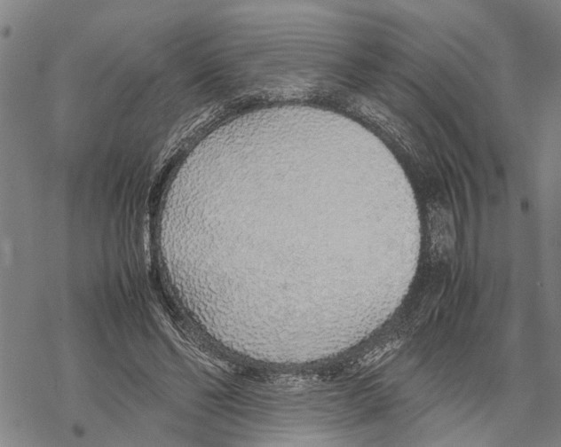 X0000067480494200605051716