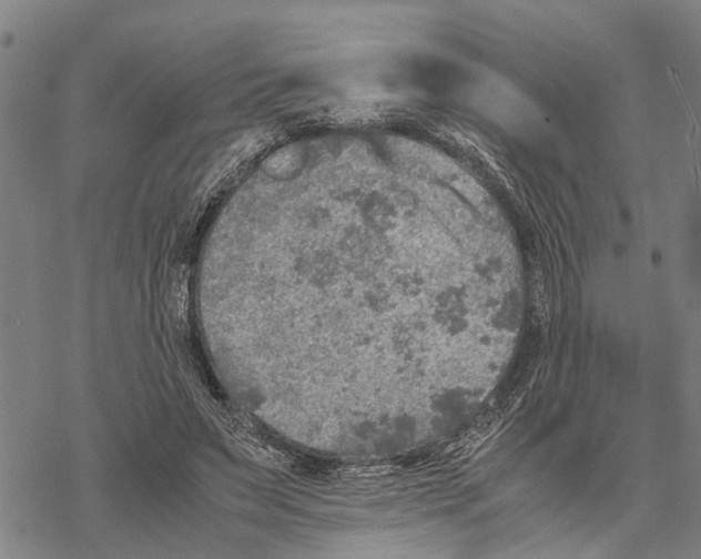 X0000067480495200605051716