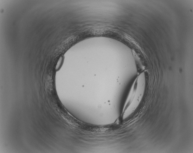 X0000067480497200605051716