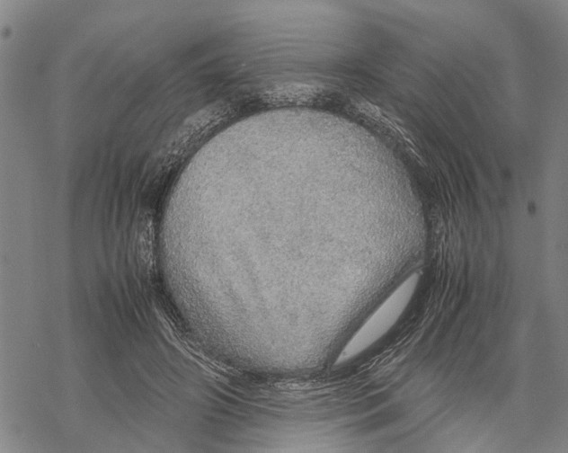 X0000067480498200605051716