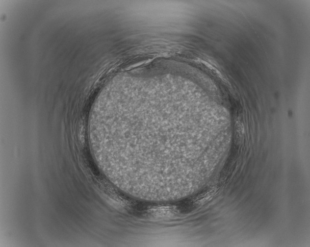 X0000067480499200605051716