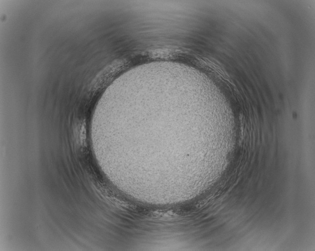 X0000067480502200605051716