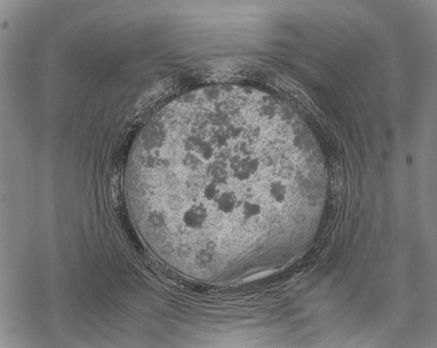 X0000067480503200605051716