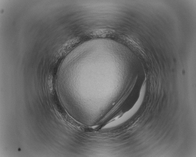 X0000067480504200605051716