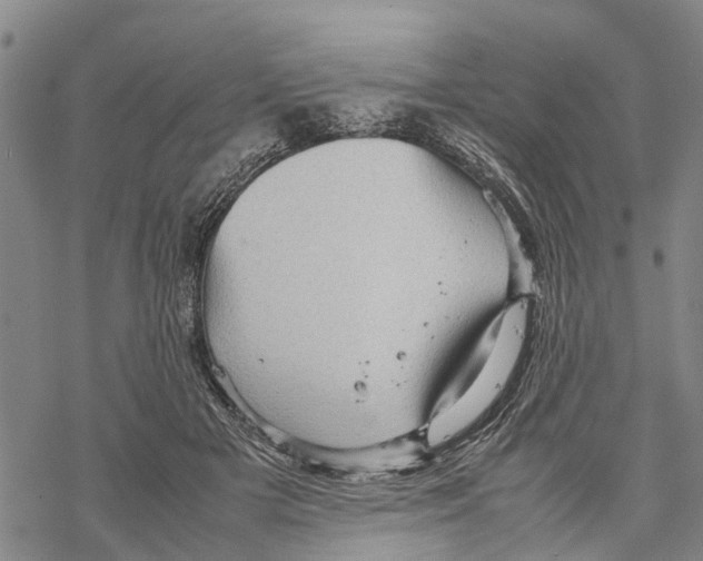 X0000067480505200605051716