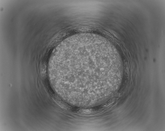 X0000067480507200605051716