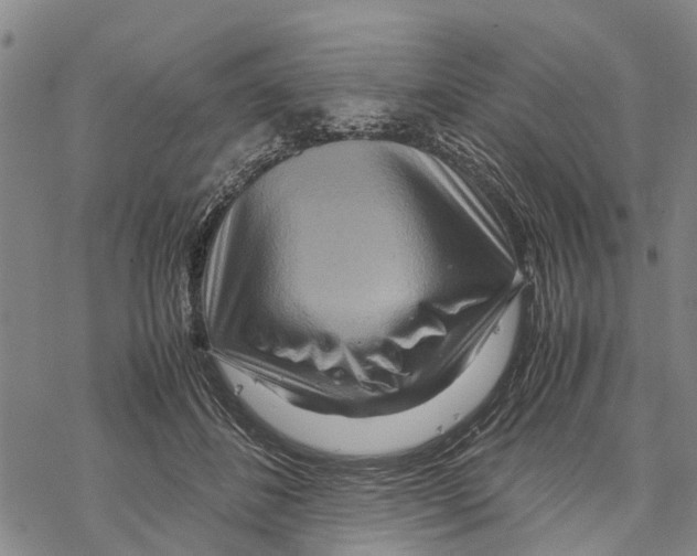 X0000067480508200605051716