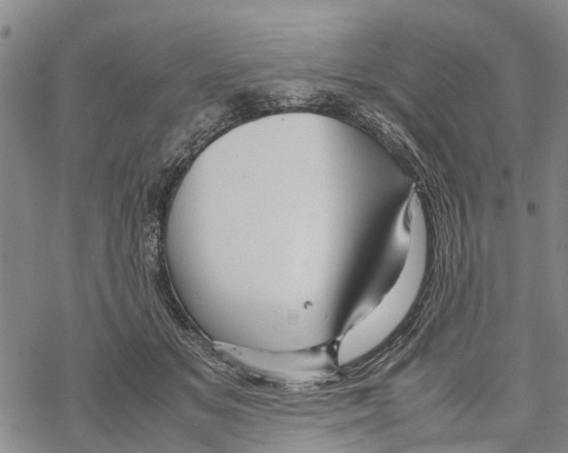 X0000067480509200605051716