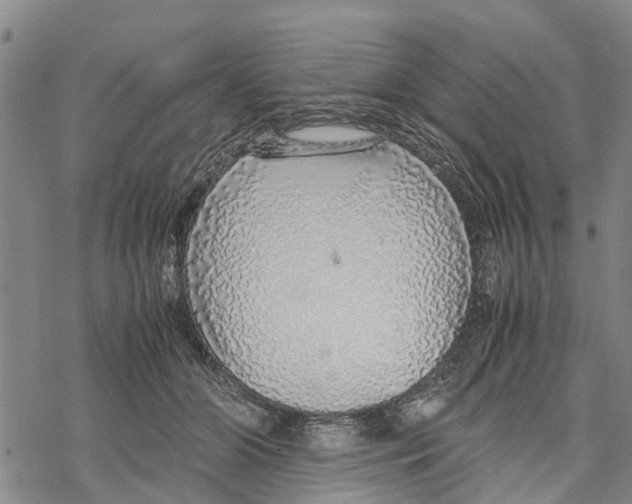 X0000067480510200605051716