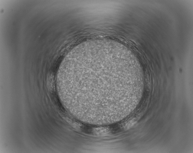 X0000067480511200605051716