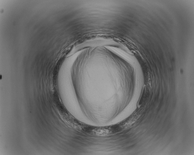 X0000067480512200605051716