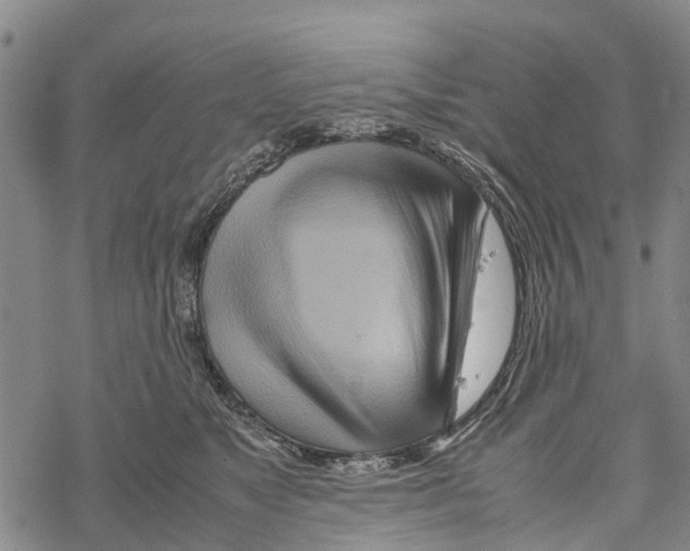 X0000067480517200605051715