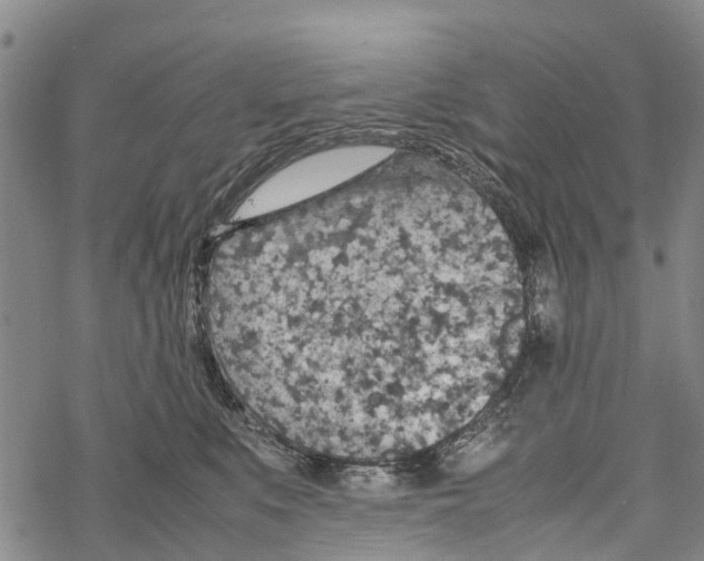 X0000067480519200605051715