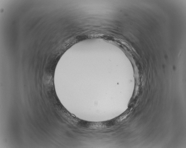 X0000067480521200605051715