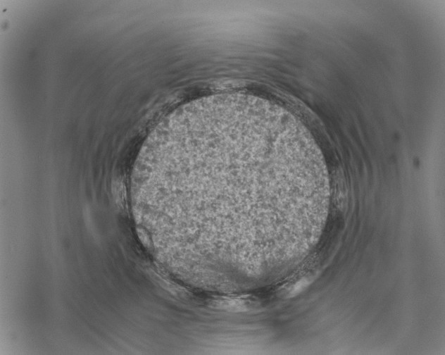 X0000067480523200605051715