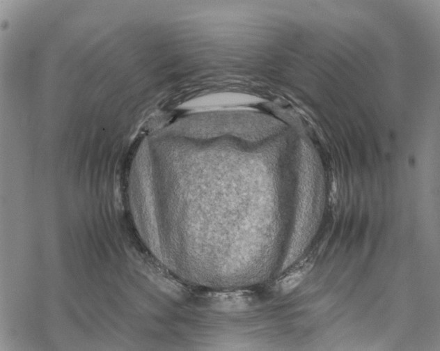 X0000067480524200605051715