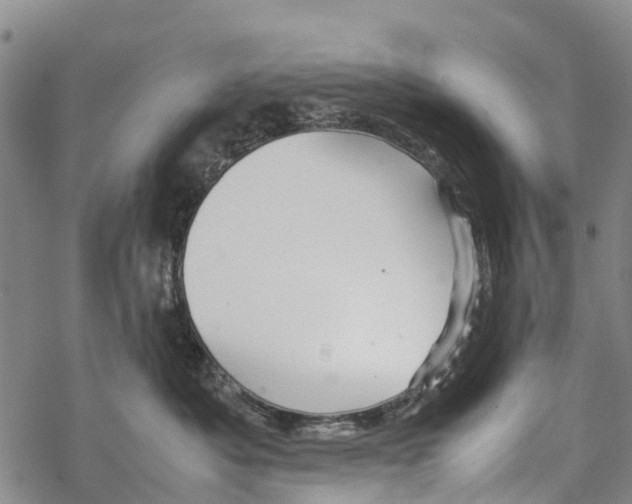 X0000067480525200605051715