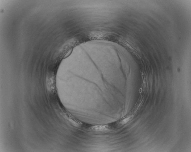 X0000067480526200605051715