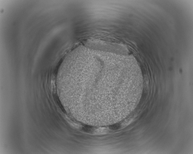 X0000067480527200605051715