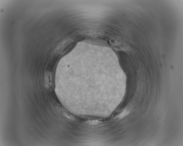 X0000067480528200605051715