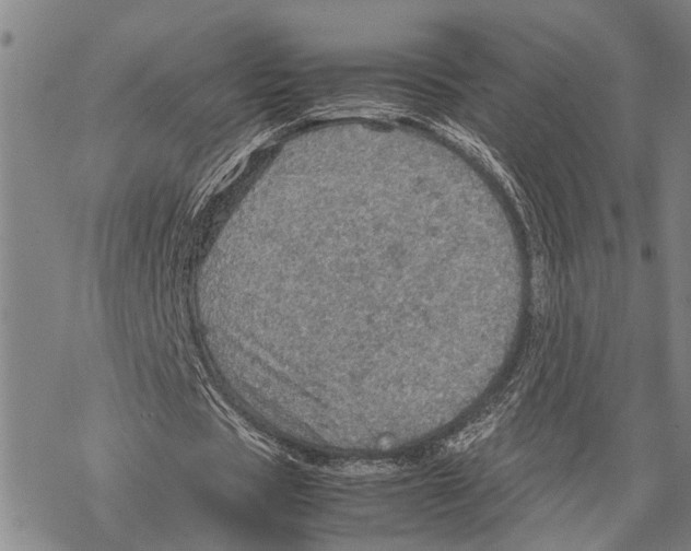 X0000067480529200605051714