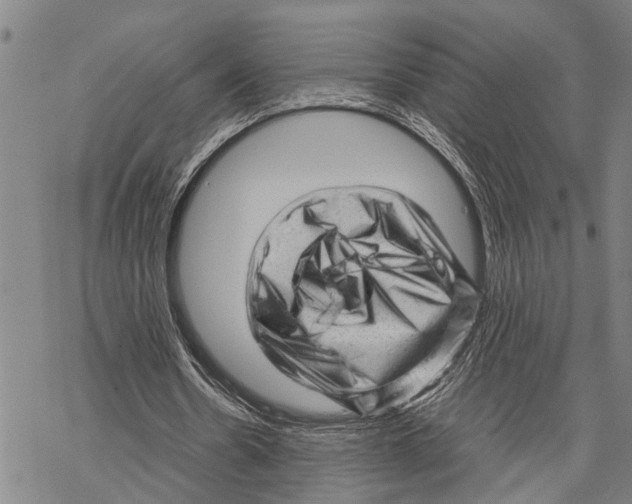 X0000067480530200605051715