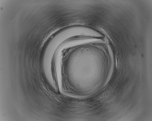 X0000067480531200605051715