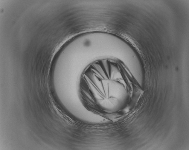 X0000067480532200605051715