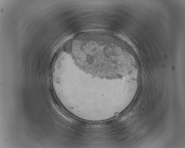 X0000067480533200605051715