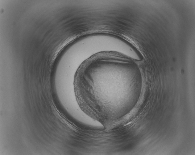 X0000067480535200605051715