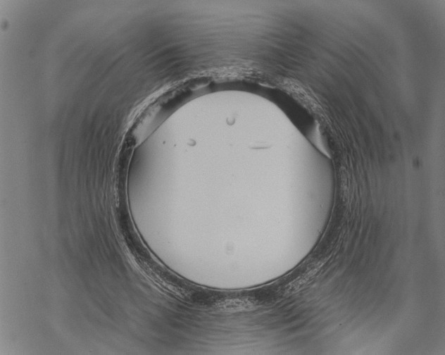 X0000067480536200605051715