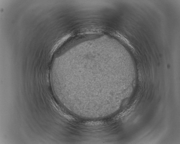 X0000067480537200605051715