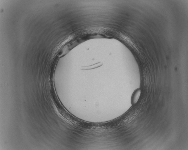 X0000067480538200605051715