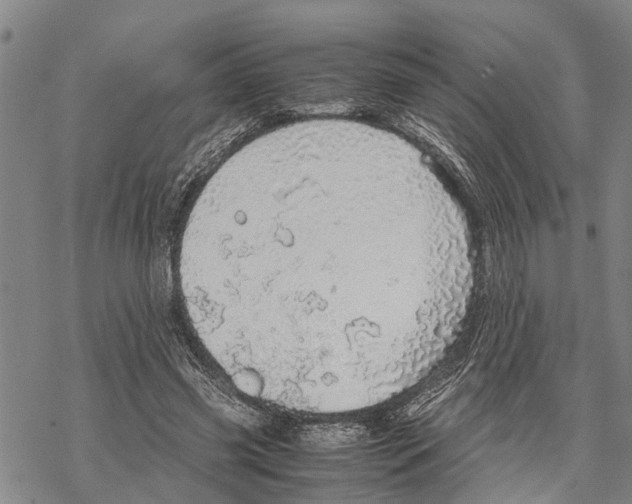 X0000067480541200605051715