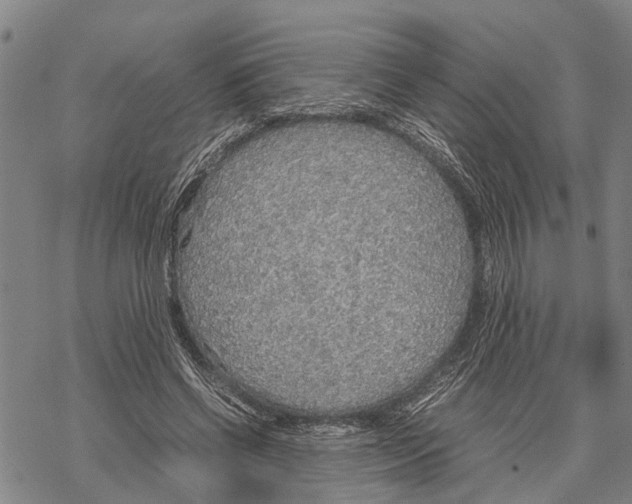 X0000067480542200605051715