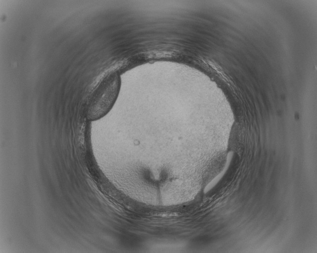 X0000067480543200605051715