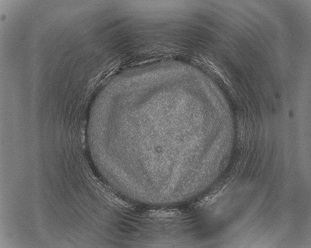 X0000067480545200605051715