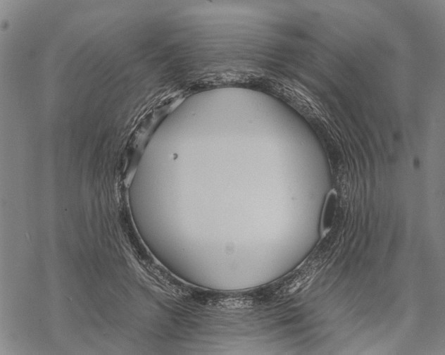 X0000067480546200605051715