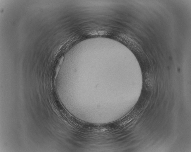 X0000067480547200605051715