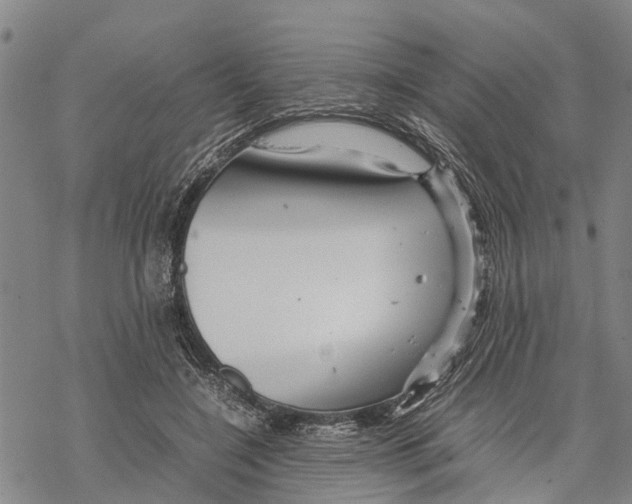 X0000067480548200605051715