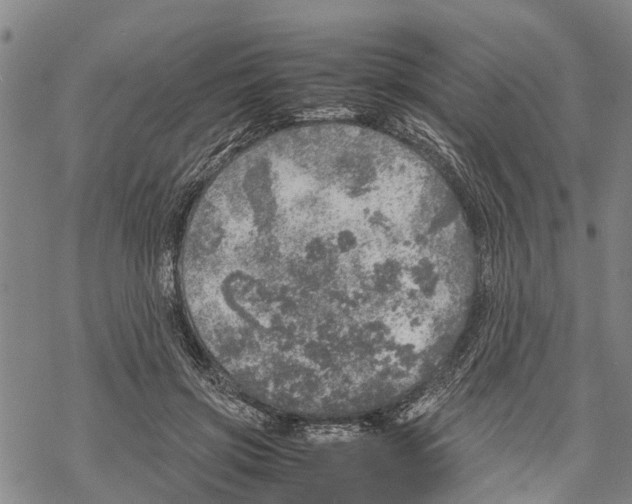 X0000067480549200605051715