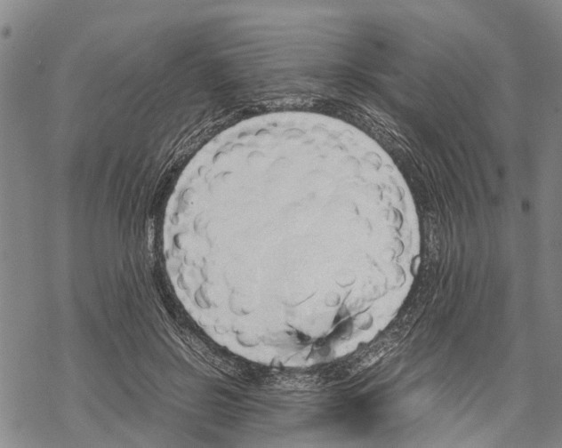 X0000067480550200605051715